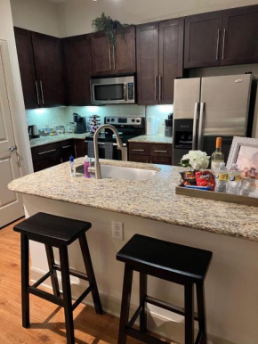 7 min Walk to NRG Green Oasis in Central Houston